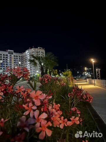 Квартира-студия, 24 м², 2 кровати
Квартира-студия, 24 м², 2 кровати