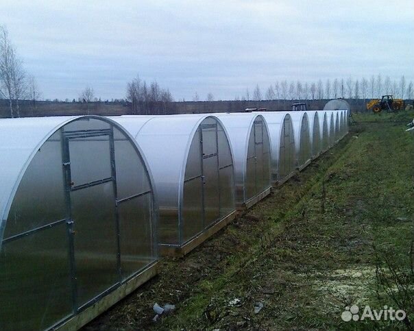 Теплицы Из Поликарбоната Купить В Воскресенском Районе