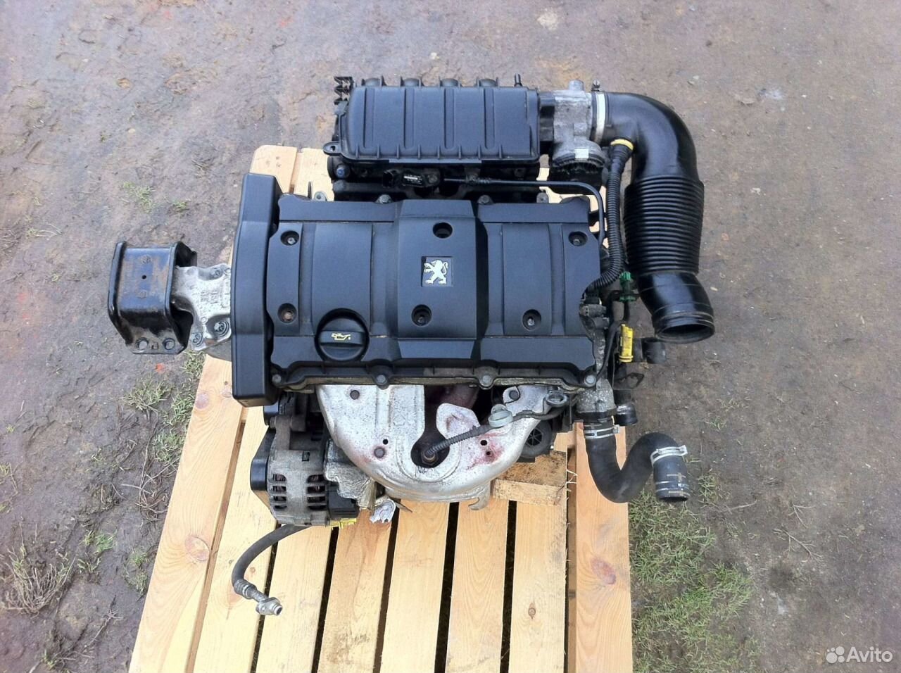 Tu5jp4 двигатель Peugeot