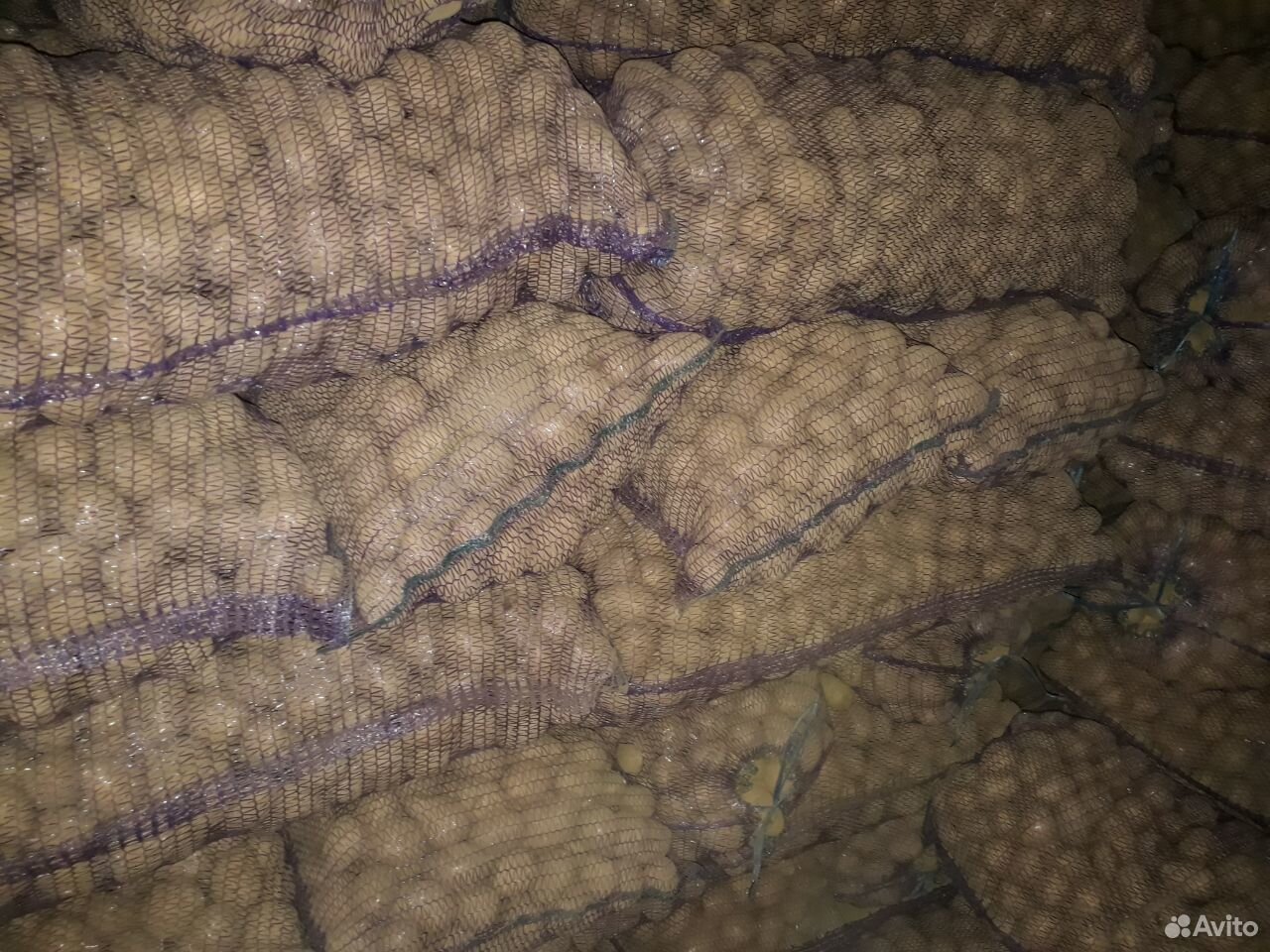 Семена картофеля в Шебекино