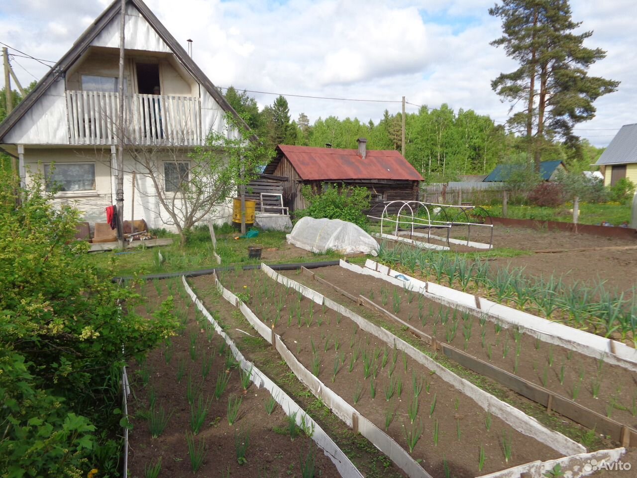 Кадуйский Район Фото
