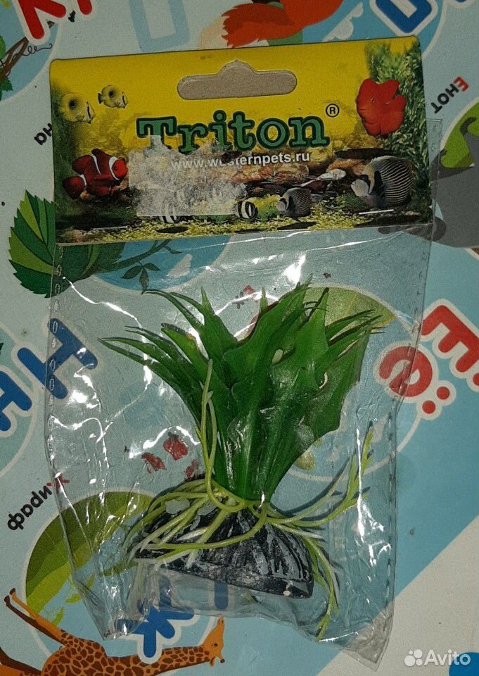 Растения и гроты купить на Зозу.ру - фотография № 4