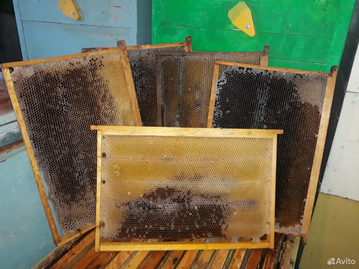 Сушь пчелиная коричневая купить на Зозу.ру - фотография № 1