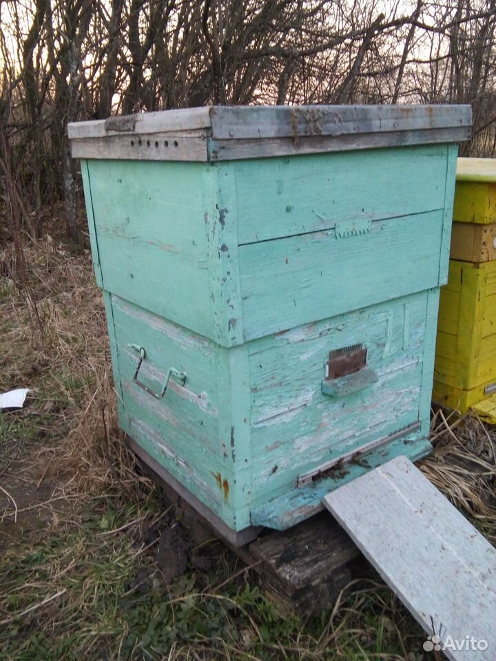 Пчелы с ульями, магазинами и сушью купить на Зозу.ру - фотография № 2