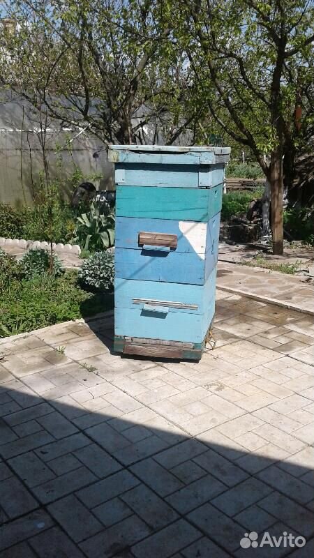 Улики для пчёл (Доданы) купить на Зозу.ру - фотография № 1
