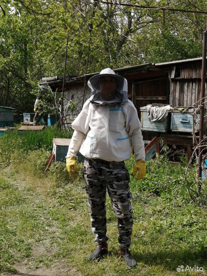 Мёд купить на Зозу.ру - фотография № 10