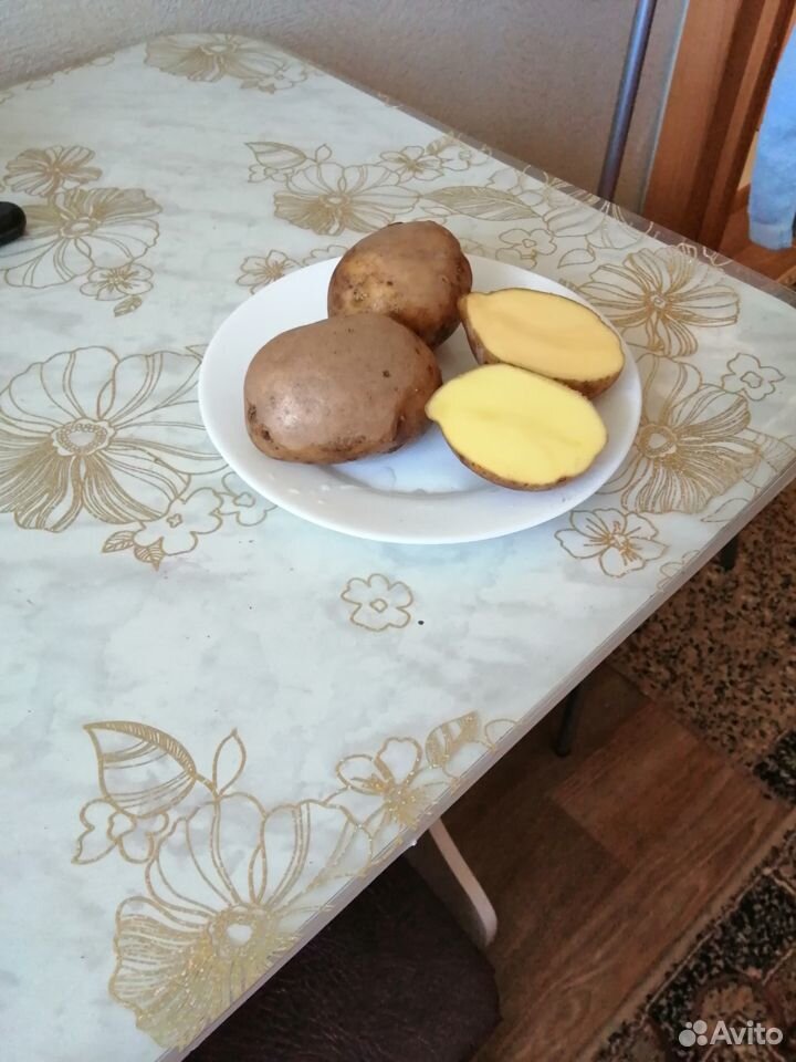 Продам картошку для еды купить на Зозу.ру - фотография № 1