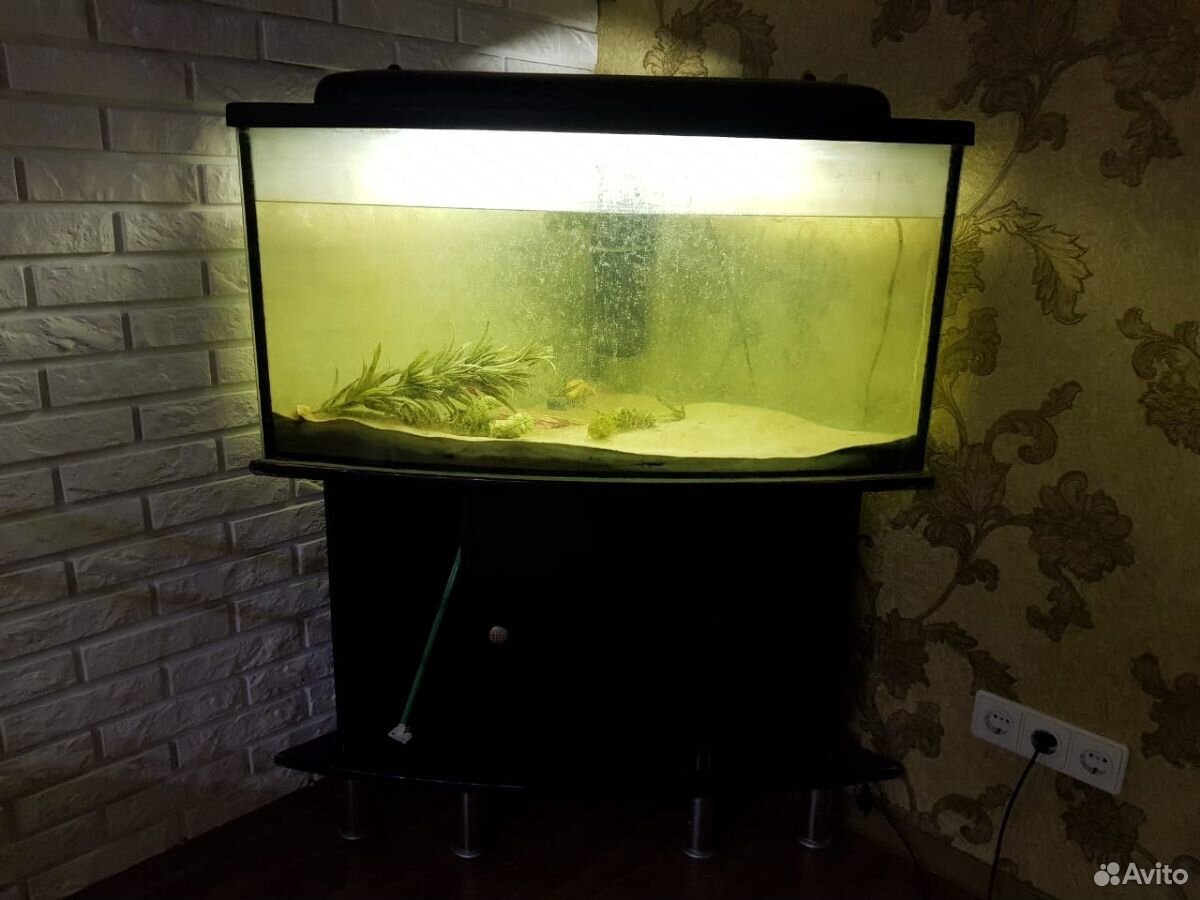 Угловой аквариум Jebo с тумбой купить на Зозу.ру - фотография № 2
