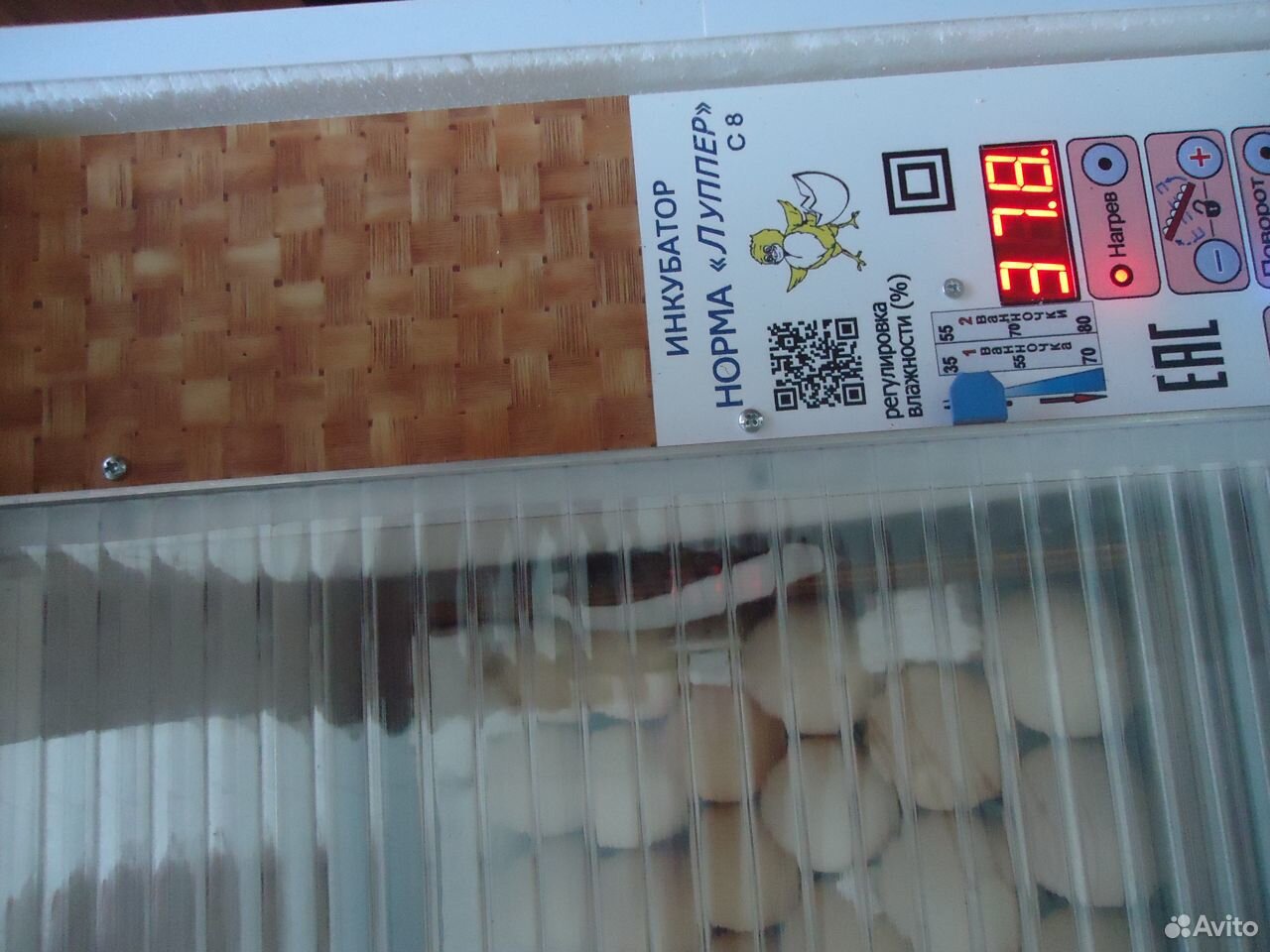 Инкубатор Блиц Норма на 72 яйца купить на Зозу.ру - фотография № 4