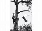 Удаление Спил Обрезка Кронирование деревьев объявление продам