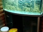 Панорамный аквариум 400л с тумбой Aquatlantis объявление продам