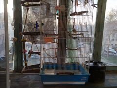 Продам большую метровую клетку для попугаев с множ