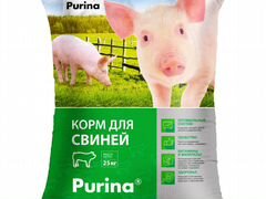 Комбикорм для свиней(поросят) Purina