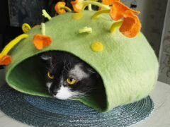 Домик для кошек из натуральной экологичной шерсти