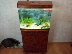 Продам аквариум Jebo 362R на 100 литров