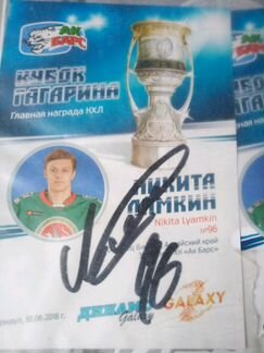 Подпись лямкина обладателя кубка Гагарина