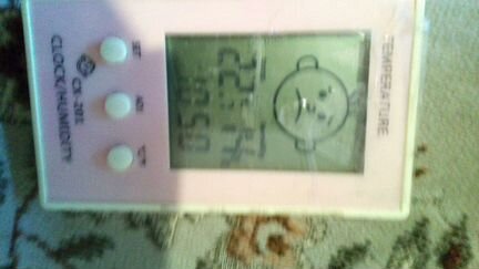 Термометр домашний