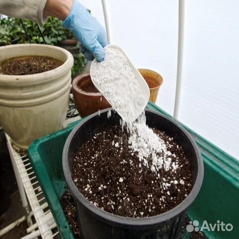 Разрыхлитель почвы для рассады