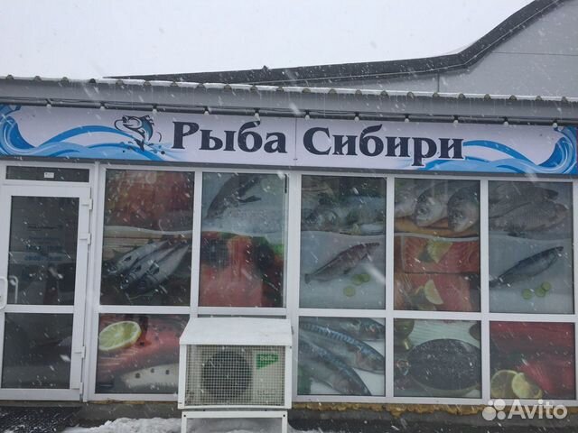 Рыба Сибири Фото