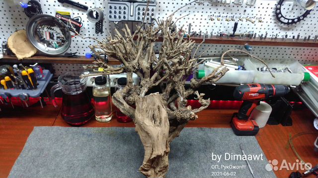 Корень Винограда для декора