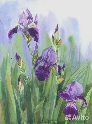 Картина акварелью 