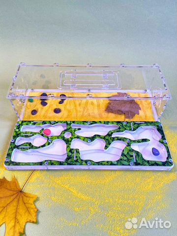 Муравьиная ферма с муравьями