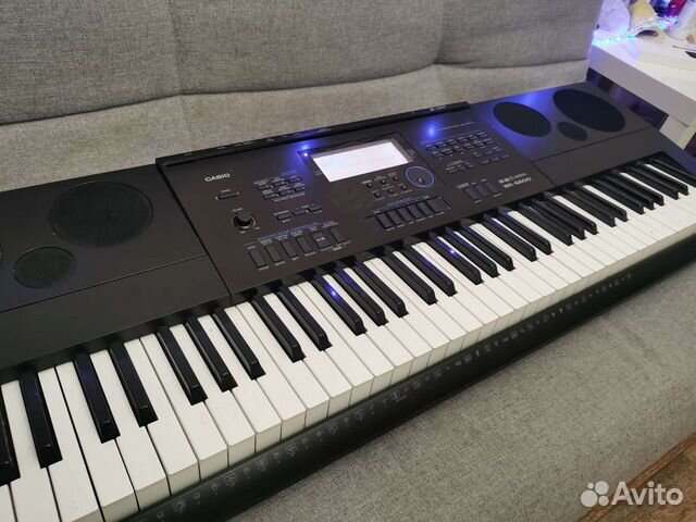 casio 6600