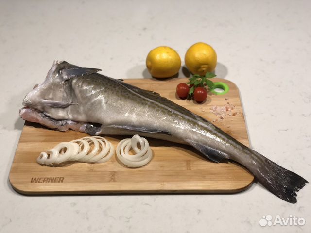 Треска охлажденная. Тушка потрошенная, без головы