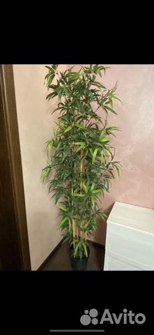 Искусственное дерево IKEA бамбук