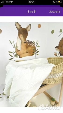 Комплект на выписку