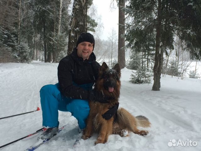 Грузоперевозки Мурманск-Питер 3 раза в неделю