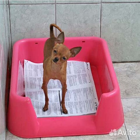 Лоток -туалет высокие борта 15 см собачий -кошачий купить на Зозу.ру - фотография № 4