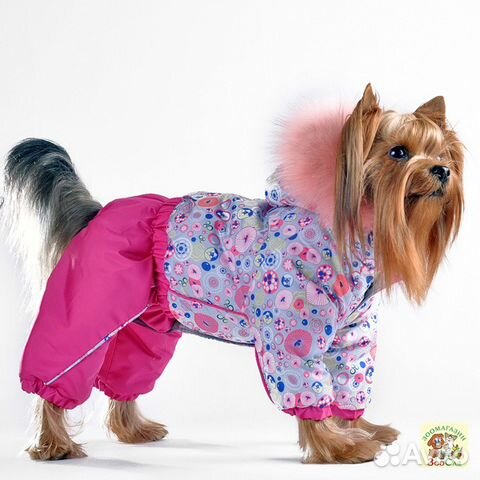 Зимняя одежда для собак купить на Зозу.ру - фотография № 8