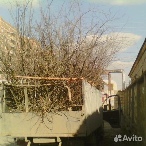 Грузоперевозки/Газель