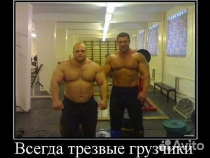 Грузоперевозки Газель+Грузчики Грузоперевозки Газель+Грузчики