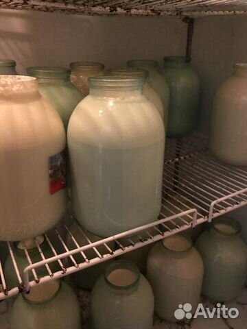 Молоко творог сметана доставка