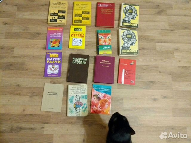 Книги по психологии Леви, Петрушин,соционика, физи