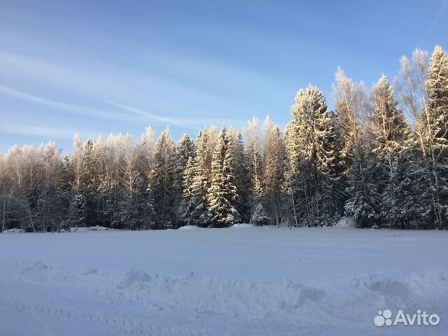 Участок 12 сот. (СНТ, ДНП)