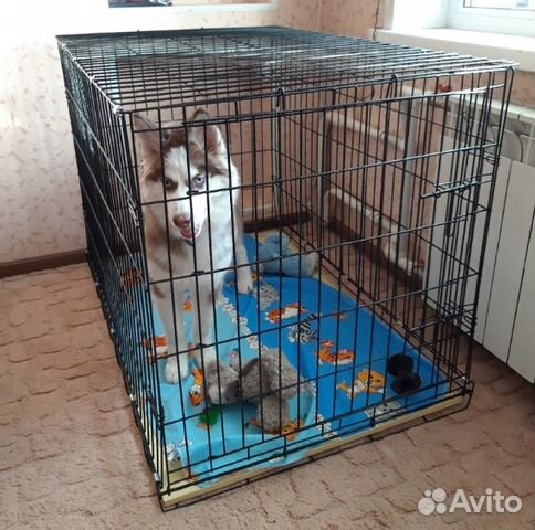 Клетка для собак. Производство РФ