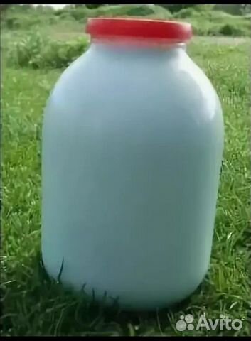 Домашнее молоко (оптом)