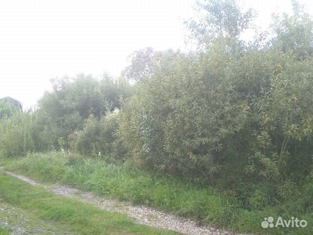 Участок 6 сот. (СНТ, ДНП) Участок 6 сот. (СНТ, ДНП)