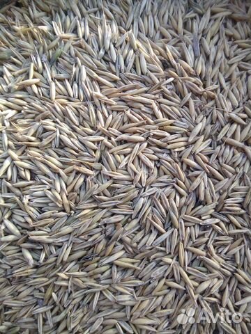 Овес, отруби, пшеница гранулы купить на Зозу.ру - фотография № 1