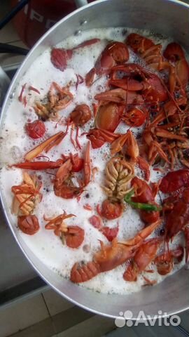 Раки живые раки вареные. Есть доставка Раки живые раки вареные. Есть доставка