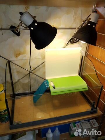 Террариум (аквариум) оборудованный для черепах и з Террариум (аквариум) оборудованный для черепах и з