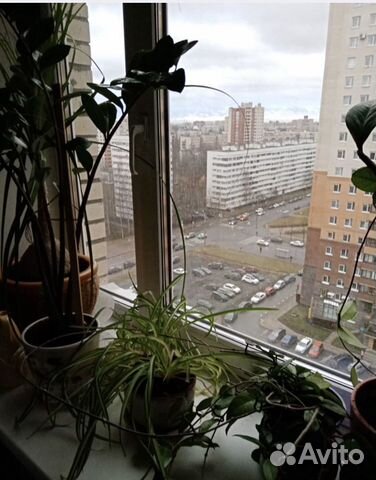 3-к квартира, 84.5 м², 13/17 эт.