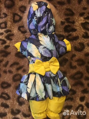 Одежда для собак