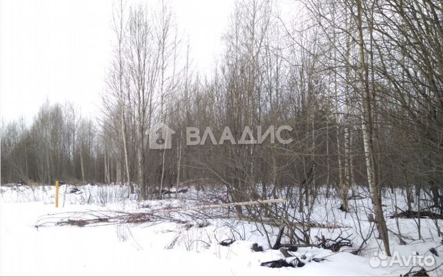Купить Участок В П Садовый Суздальского Района