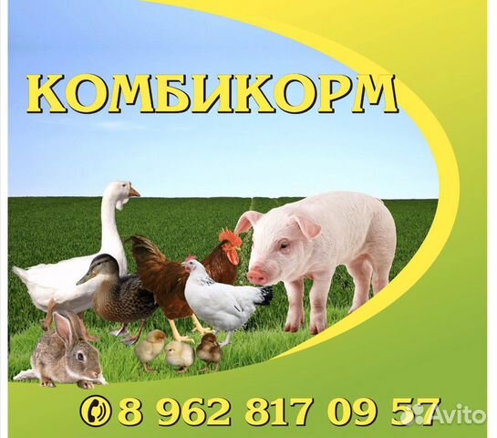 Корма для животных купить на Зозу.ру - фотография № 1