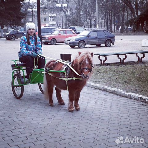 Двуколки для мини пони, пони, пони класс купить на Зозу.ру - фотография № 7