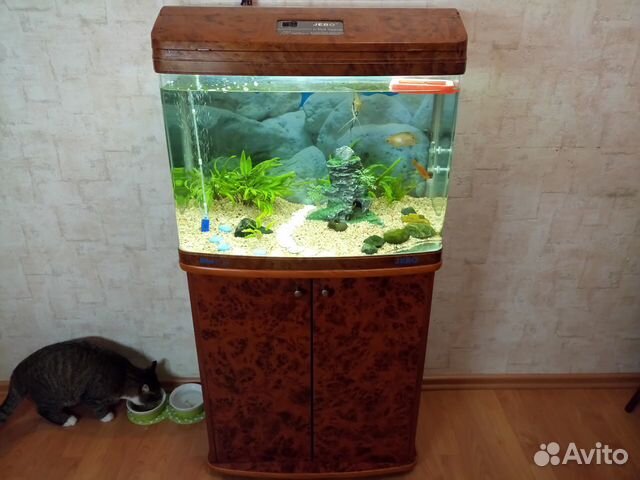 Продам аквариум Jebo 362R на 100 литров купить на Зозу.ру - фотография № 1
